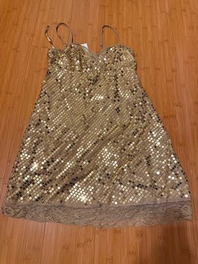 Express Gold Sequin Slip Dress with Lace Trim